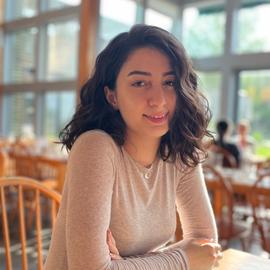 Aida Afshar